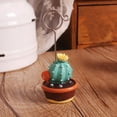 thumbnail image 7 of SPRING PARK Artificial Mini Cactus Bonsai Table Decor Photo Holder Memo Clip Name Place Card Table Number Picture Note Stand, 7 of 7