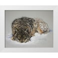 thumbnail image 1 of Harrison, Lesley 14x12 White Modern Wood Framed Museum Art Print Titled - Lone Wolf, 1 of 4