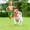 thumbnail image 5 of Juguete para perros Juguete de felpa de algodón natural Juguetes para masticar seguros y no tóxicos para perros pequeños y medianos Juguetes divertidos para masticar mascotas 75g JAMW Sencillez, 5 of 5