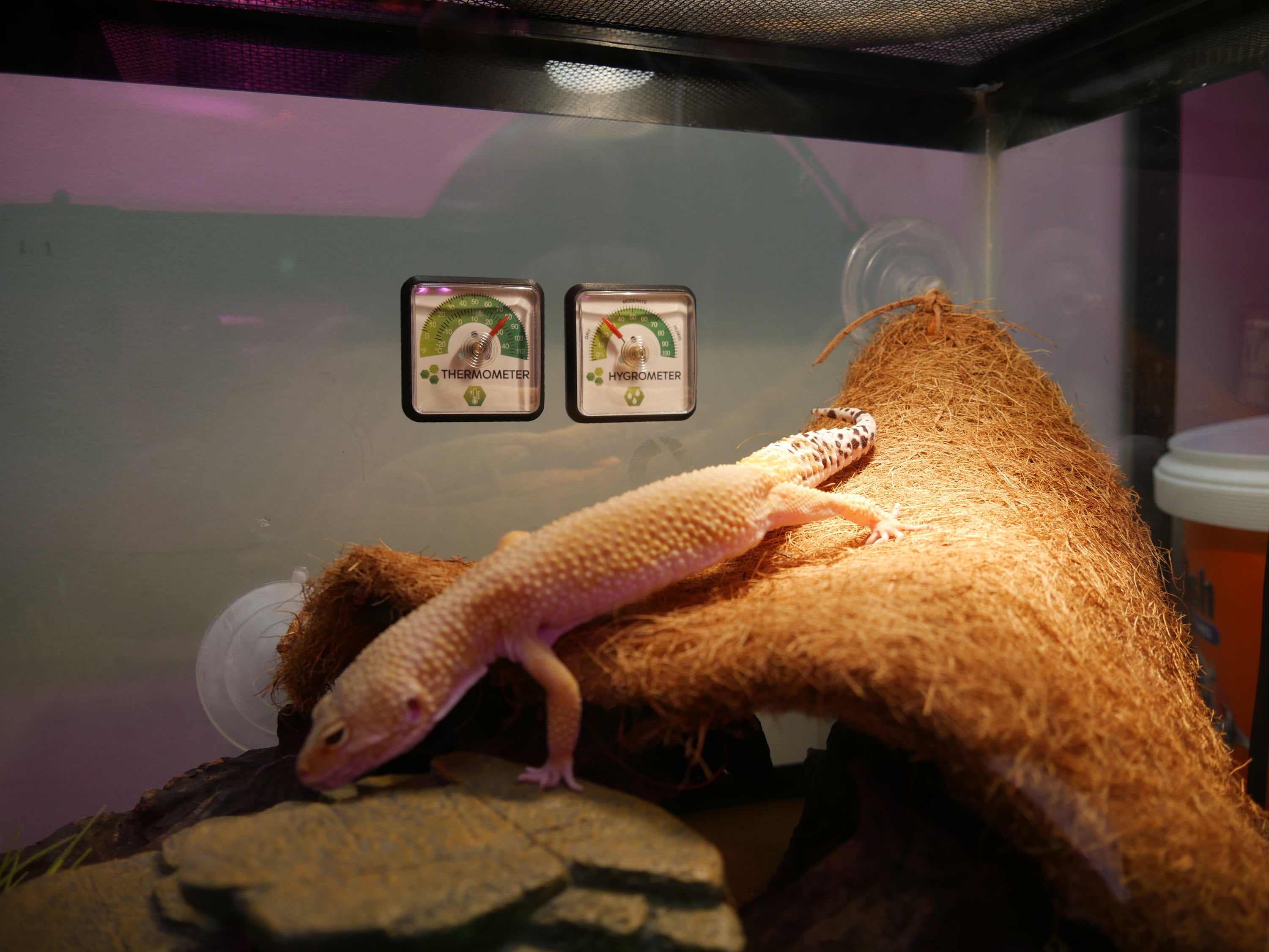 Reptology Reptile Thermometer and Hygrometer to Monitor Reptile Terrarium Temperature and Humidity