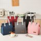 thumbnail image 2 of Bolsa de almuerzo aislada, bolsa de almuerzo, bolsa de almuerzo reutilizable, bolsa de almuerzo aislada para mujeres, hombres, trabajo, oficina, viajes, 2 of 5