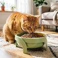 thumbnail image 4 of Elevated Spill Proof Pet Bowl with Stand, Non Slip Raised Feeding Bowl for Small Dogs Cats Reduces Vomiting, 4 of 5