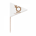 thumbnail image 1 of Constellation Destin Anniversaire Célébration Taureau Cure-Dent Triangle Toppers de Cupcake Drapeau, 1 of 3