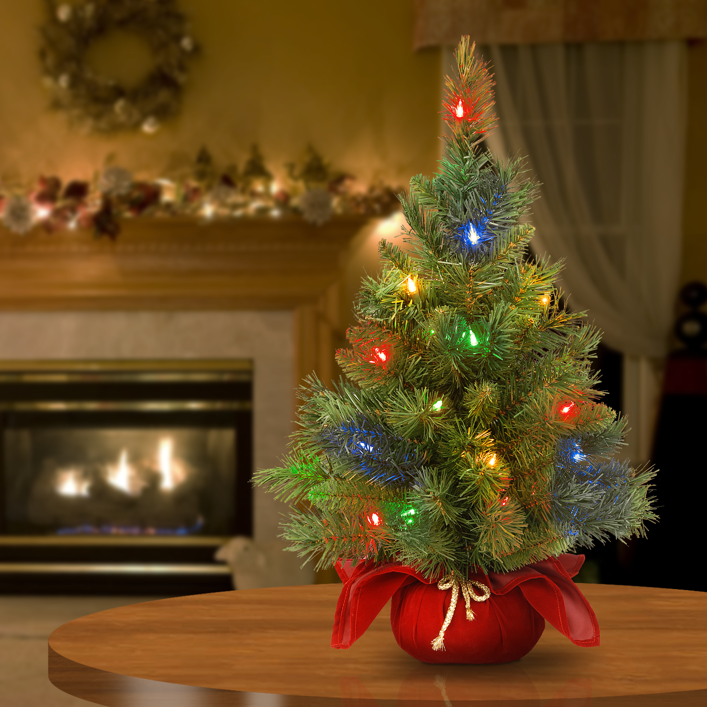 24" Majestic Fir Tree with Battery Operated Multicolor LED Lights - image 2 of 5