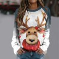 Sweaters for Women Hoodies Fashion Print Round Neck Long Sleeved Casual