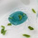 thumbnail image 4 of Kitchen sink push-type floor drain square sewer nausea deodorizing deodorizing cover seal, 4 of 5