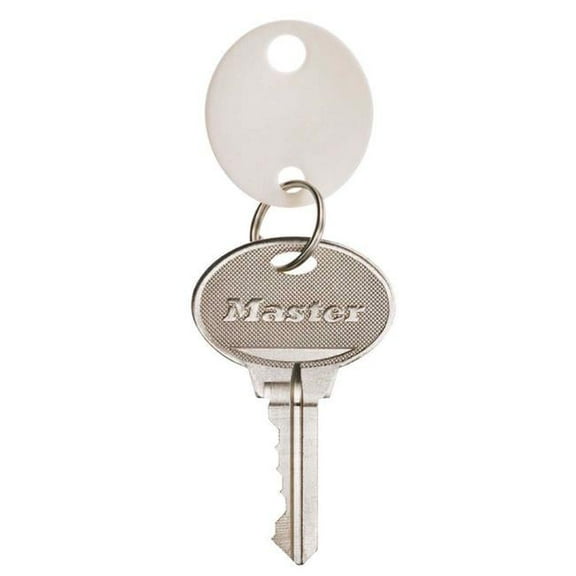 Master Lock  Plastic Key Tags - Pack of 20