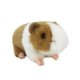 thumbnail image 2 of SAYOO Muñeco de peluche de peluche para niñas y niños, juguete de tamaño portátil con forma de animal de dibujos animados, regalo de cumpleaños, Navidad, boda, fiesta SAYOO  casual, 2 of 8