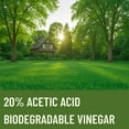 thumbnail image 3 of 20% Vinegar Concentrated | White Vinegar for Cleaning and Garden | Home, and Outdoor Pure | Max Performance 5X Power | with Instructions | 4 Gallon (512 fl oz), 3 of 5