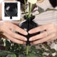 thumbnail image 3 of Instants Plant Root Growing Box Lockable Design Plant Root Growing Box for Fruit Bushes Fruit Tree, 3 of 5