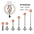 thumbnail image 2 of 20cm/8inch RGB Ring Light LED Fill Light Dimmable USB Powered with Desktop Tripod Metal Light Stand Dual Phone Holders Remote Shutter Remote Control for Live Streaming Online Video Selfie Ma, 2 of 7