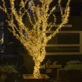 thumbnail image 4 of Guirnalda de luces navideñas LED de 10M y 100 luces blancas cálidas para exteriores e interiores, luces impermeables de hadas de alambre transparente para árbol de Navidad, 4 of 5