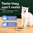 thumbnail image 3 of Jinx Cage-Free Chicken, Turkey, Duck Dry Cat Food, 14 lb, 3 of 10