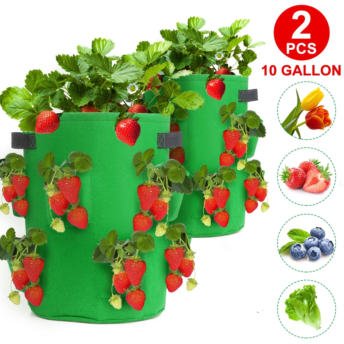 10 Gallon Strawberry Planters,Strawberry Grow Bag with Handles