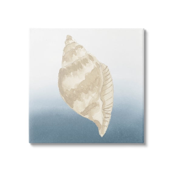 Casual Conch Nautical Life Animals & Insects Graphic Art Gallery Wrapped Canvas Print Wall Art