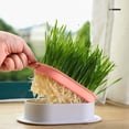 thumbnail image 2 of Huanglei Pet Supplies Cat Growing Hydroponic Box Hydroponic Box, 2 of 9
