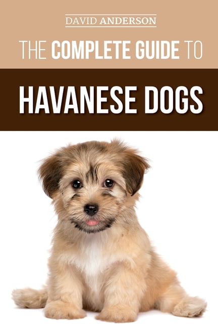 best conditioner for havanese