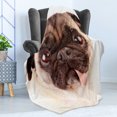 thumbnail image 4 of Pug Soft Flannel Fleece Blanket, Portrait of an Upset Dog with Its Tongue out Pug with Giant Sad Eyes Pet Animal Photo Print, Cozy Plush for Indoor and Outdoor Use, 50" x 70", Brown, by Ambesonne, 4 of 5