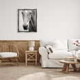 thumbnail image 2 of Stupell Industries Moke Lake Horse Photography Animals & Insects Photography Gray Floater Framed Art Print Wall Art, 25 x 31, 2 of 9