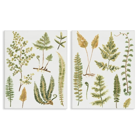 Stupell Industries Watercolor Fern Leaves Plants & Flowers Painting Wrapped Canvas Art Print Wall Art, 16 x 20, Set of 2