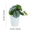 thumbnail image 2 of Moluckfu Planta Artificial En Maceta De Material Resistente Para Decorar Muebles Y Escritorios, 2 of 6