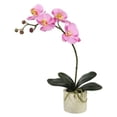thumbnail image 1 of 20 in. Potted Orchid X4 - Lavender, 1 of 1