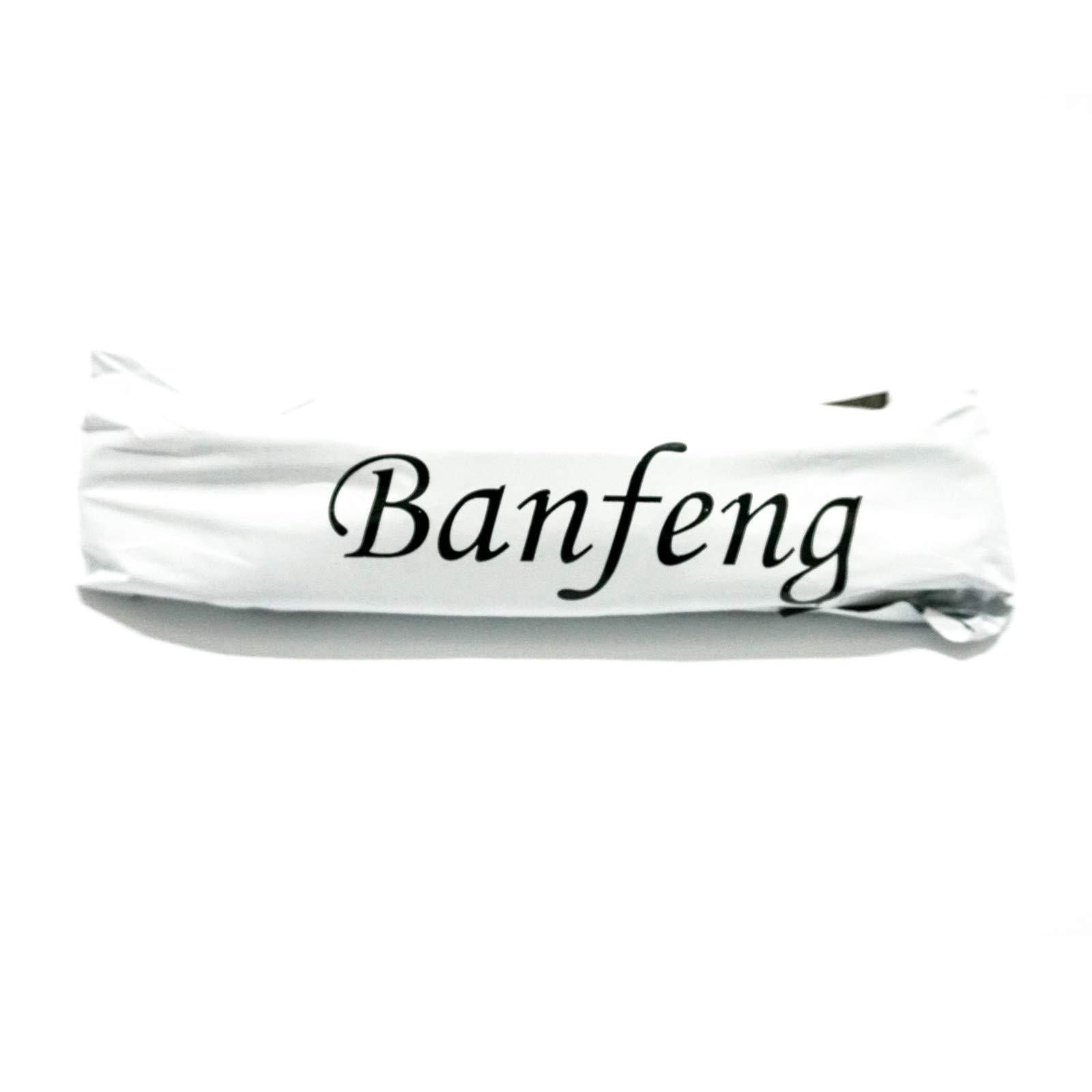 Banfeng Giant 9.5 Dog Tennis Ball Large Pet Toys Funny Outdoor Sports Dog Ball Gift with Inflating Needles