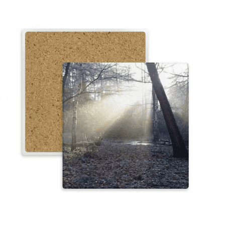 

Dark Green Forestry Science Nature Scenery Square Coaster Cup Mat Mug Subplate Holder Insulation Stone