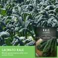 thumbnail image 4 of 3 Packs Lacinato Kale Seeds - Non-GMO Heirloom Biennial Full Sun Vegetables, 4 of 9