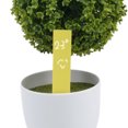 thumbnail image 2 of Aproximadamente 100 etiquetas de semillas de plantas de jardín de plástico etiqueta de árbol joven  Amarillo Gloria Etiquetas de plantas de plástico, 2 of 9