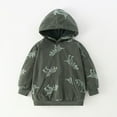 thumbnail image 2 of Toddler Boys Cartoon Dinosaur Printing Causal Round Neck T Shirt Hoodie Long Sleeved Top Children's Clothing Size 5-6T, 2 of 8