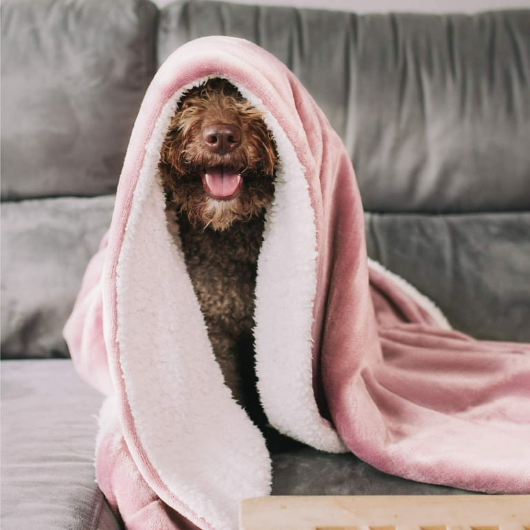 Bedsure Sherpa Fleece Throw Blanket for Couch - Light Grey Thick Fuzzy Warm  Soft Blankets and Throws for Sofa, 50x60 Inches - Walmart.com