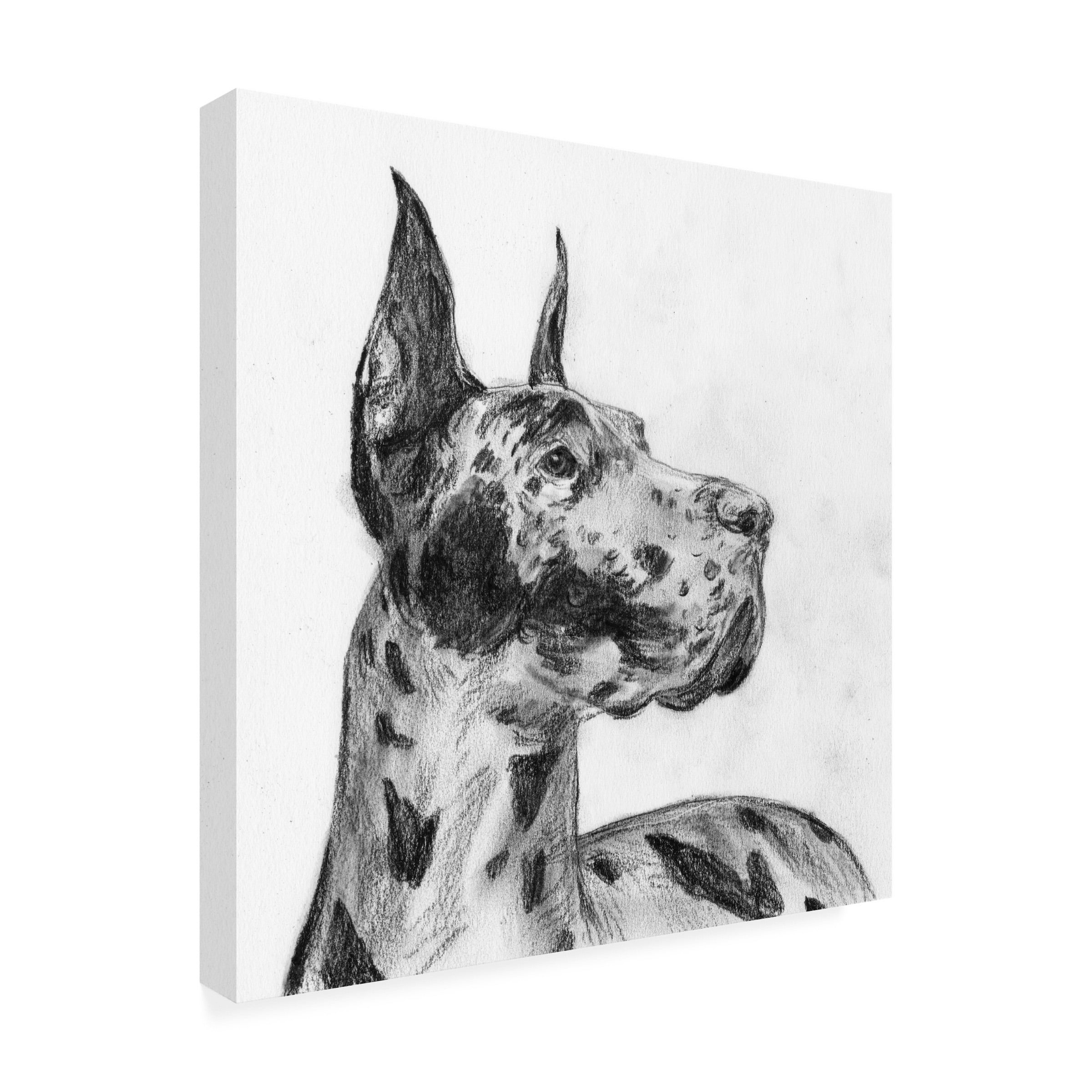 Melissa Wang 'Great Dane Portrait II' Canvas Art