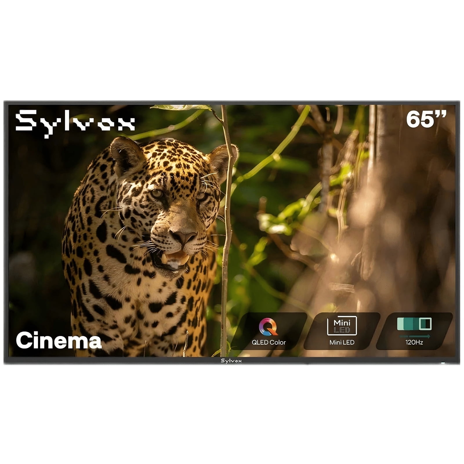 SYLVOX 65 inch Outdoor Smart Google TV, 4K QLED Mini LED, 120Hz Television, 2000 Nits Full Sun, IP55 Waterproof, Dolby Atmos, (Cinema)
