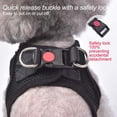 thumbnail image 4 of Arnés para perros matilor Step-in transpirable para perros pequeños y medianos, 4 of 6