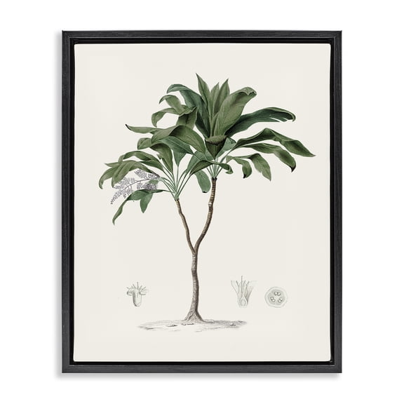 Stupell Industries Coastal Palms Vintage Black Framed Floater Canvas Wall Art, design by Val Rhodes