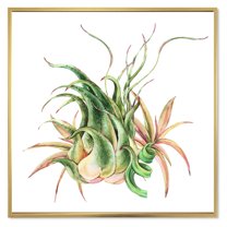 Designart 'Tropical Leaves Air Plant Succulent On White' Farmhouse Framed Canvas Wall Art Print