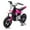 Rose Red, variant on Track Seven 24V Electric Motorcycle for Kids, 300W Electric Dirt Bike Up to 11 MPH, Twist-Grip Throttle, Rear Brake, 14-Inch EVA Tires, Music, Light, Electric Bike for Kids Aged 6 , Pink