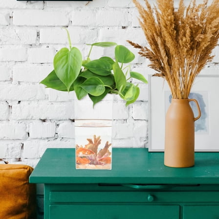 WEUVEB Small Transparent Plastic Fish Tank for Betta Fish, Versatile Aquarium for Home and Office Decor