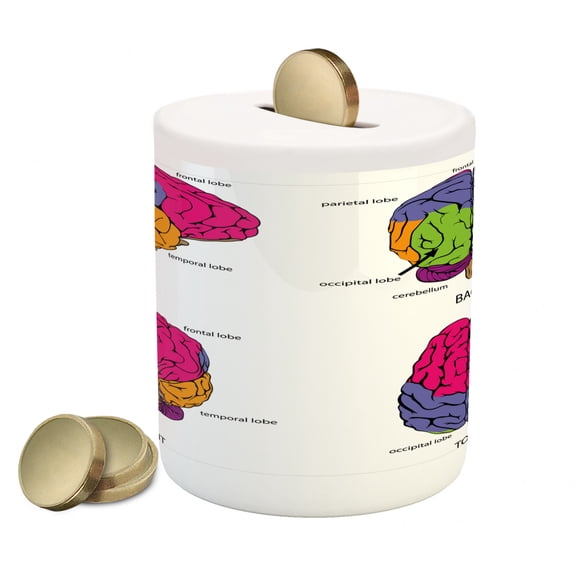 Science Piggy Bank, Human Brain from All Sides with Sections in Different Colors Explanatory Texts, Ceramic Coin Bank Money Box for Cash Saving, 3.6" X 3.2", Rainbow Colors, by Ambesonne