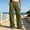 Army Green, variant on Women's High Rise Sweatpants - Elastic Wide Leg Solid Waistband Everyday