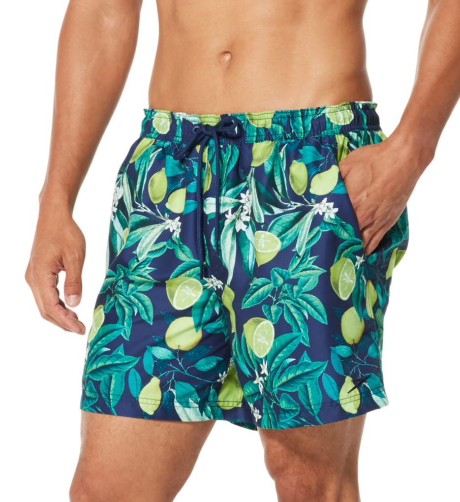 speedo volley swim short