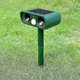 thumbnail image 1 of ZHAOCHENG Repelente ultrasónico para gatos, repelente solar de animales, repelente de pájaros, repelente ultrasónico de animales (1 unidad, verde), 1 of 5