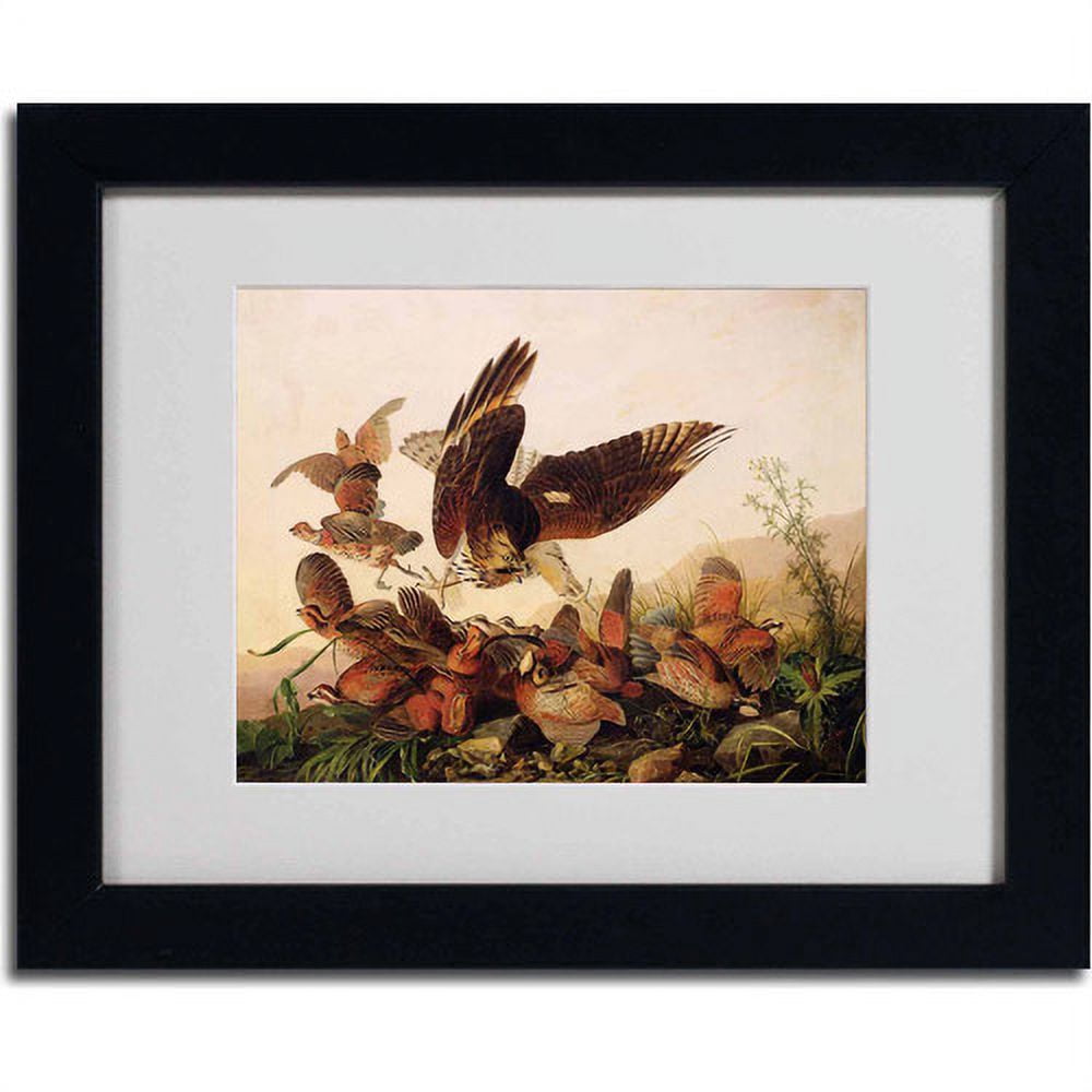 Trademark Fine Art "Red-Shouldered Hawk" Canvas Art by John James Audubon, Black Frame