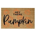 thumbnail image 1 of Big Sale ! Nomeni Carpet,Polyester Carpet,Pumpkin Doormat Pumpkin Decor Funny Door Mat Fall Welcome Mat Fall Decor Rug, 1 of 2