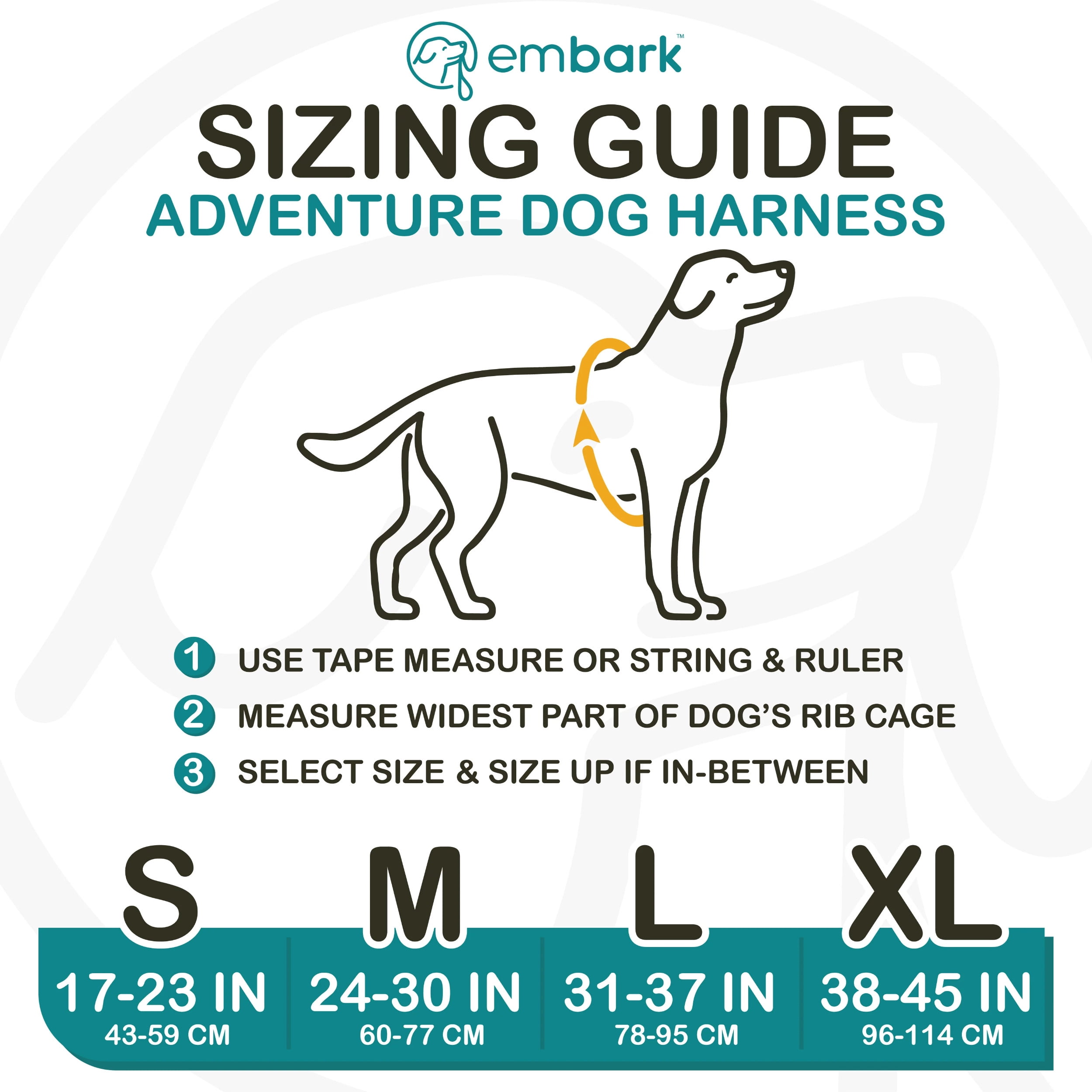 Embark active top dog harness