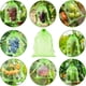 thumbnail image 4 of 50 bolsas de protección para uvas, 40 x 30 cm, bolsas de organza con cordón, bolsa de protección para frutas, mosquitera, protección y control de plagas para jardín (fruta verde) esquí esquí Gafas de esquí, 4 of 5