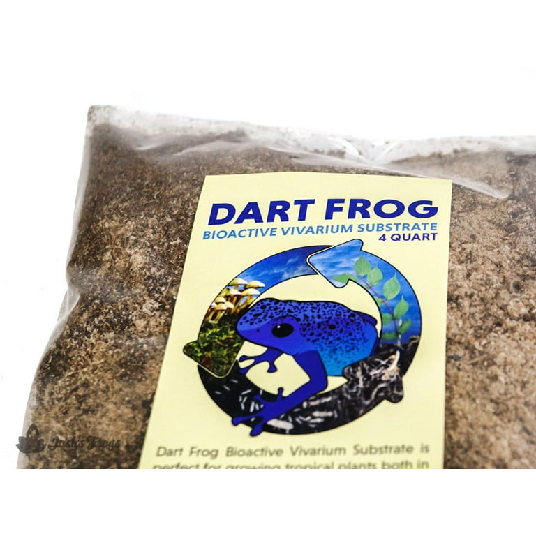 Live Frog Moss Mood Moss Pads Dicranum for Terrarium or Vivarium Quart Bag  -  Denmark