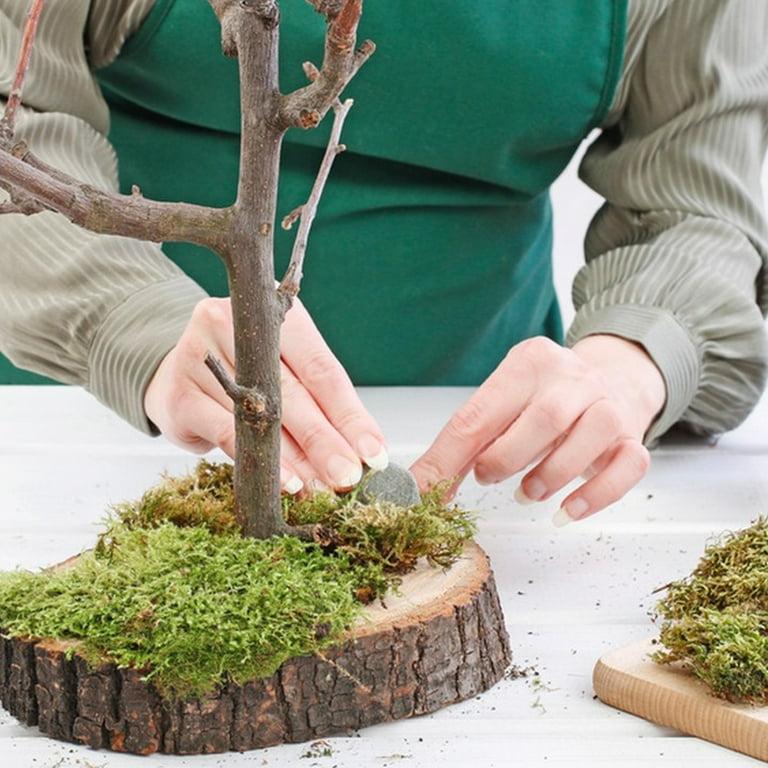 Kabuer Artificaial Fake Moss, 10oz Moss for Arts and Craft