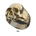 thumbnail image 4 of Becaristey Trendy Goth Ring Addition To Alternative Fashion Collection Skull Ring Punk Ring Gold 9 1Set, 4 of 6